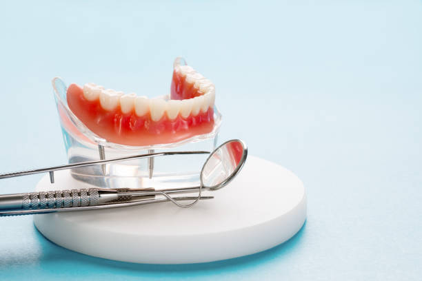  Westport, NC Dental Services Pros
